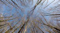 Winterspaziergang, Impressionen, Saarland
