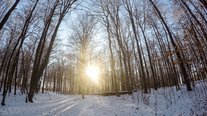 Winterspaziergang, Impressionen, Saarland